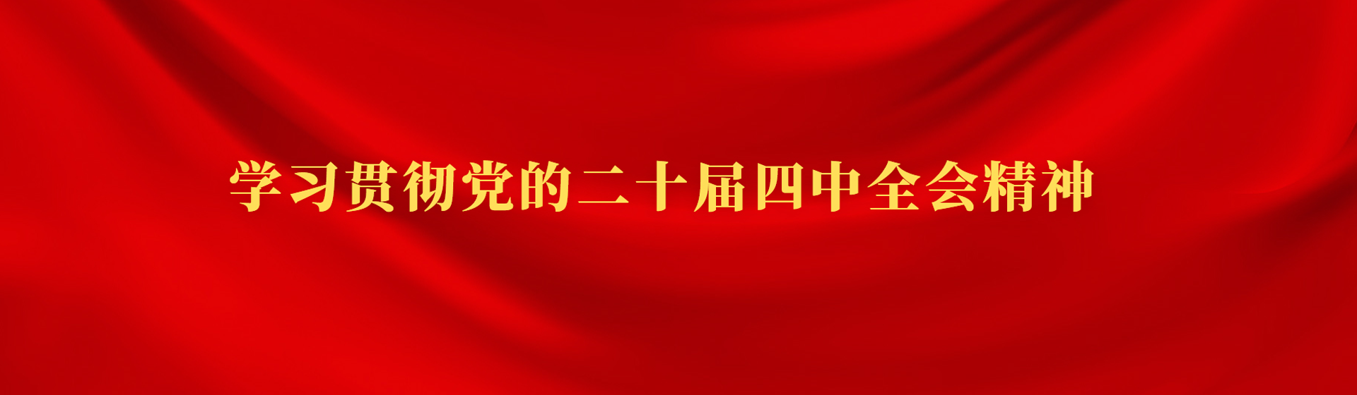 學(xué)習(xí)貫徹黨的二十屆四中全會(huì)精神