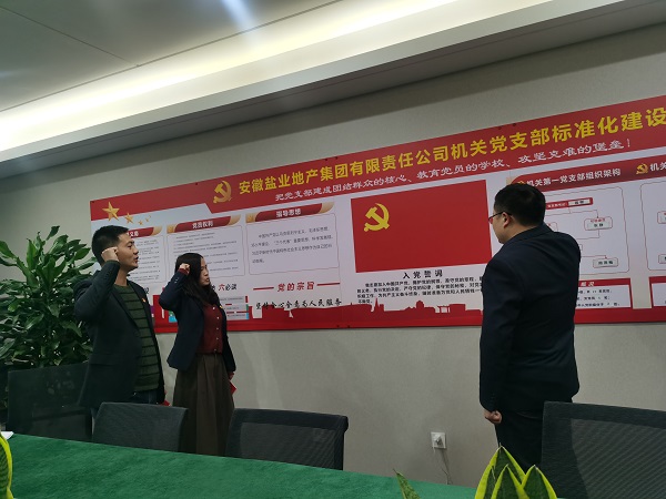 安徽鹽業(yè)地產(chǎn)集團(tuán)機(jī)關(guān)第一黨支部開展“佩黨徽、誦誓詞、贈(zèng)黨章、上黨課”黨員教育活動(dòng)