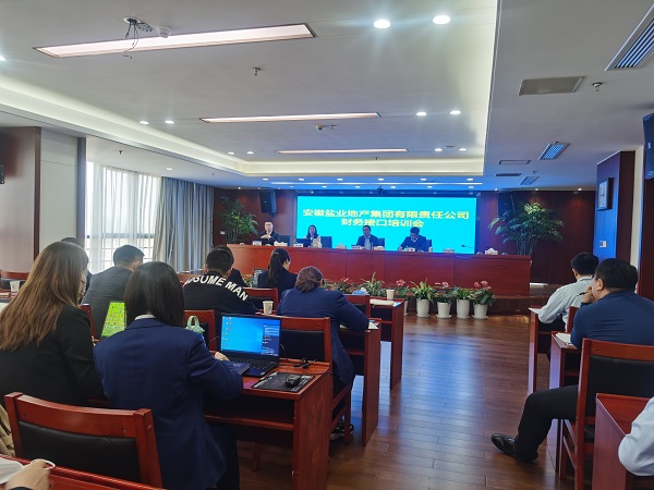 徽鹽地產(chǎn)集團(tuán)開展明源與財務(wù)接口實(shí)操培訓(xùn)
