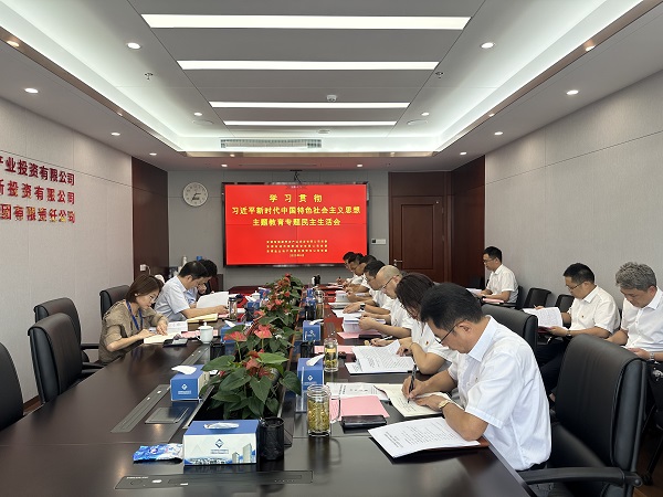 安徽鹽業(yè)地產(chǎn)集團(tuán)等三家公司黨委召開學(xué)習(xí)貫徹習(xí)近平新時代中國特色社會主義思想主題教育專題民主生活會